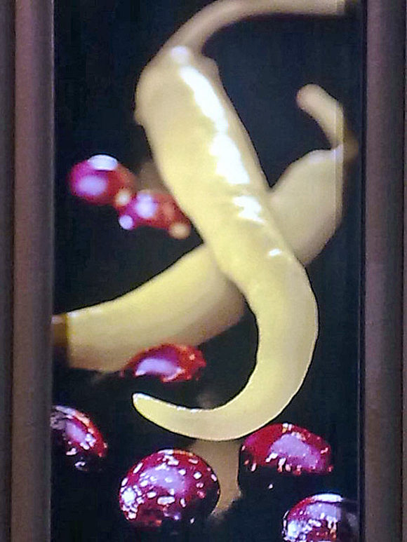 Alimentaria 2010  в снимки