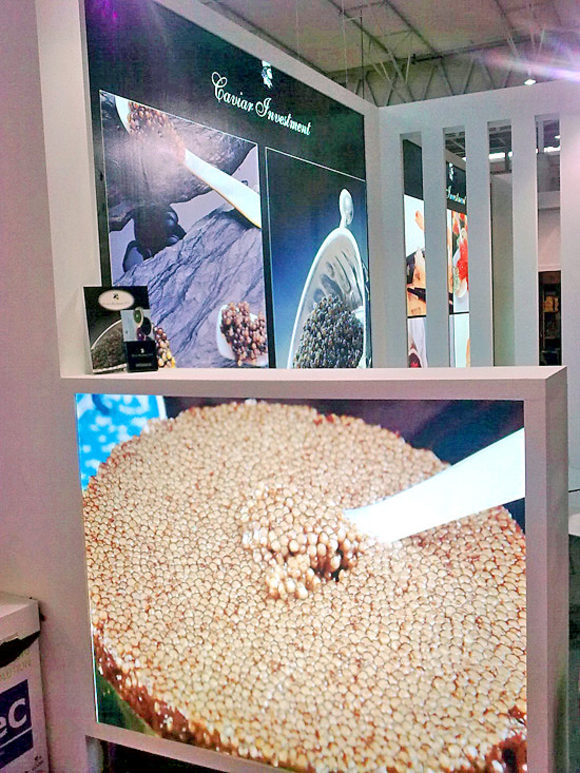 Alimentaria 2010  в снимки