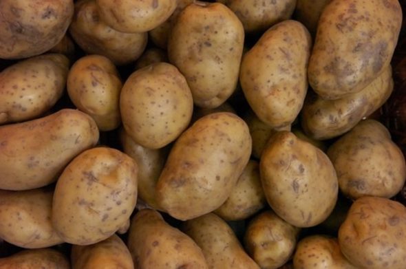 Ако държавата не вземе спешни мерки, ще продължим да ядем картофи със съмнително качество, алармират от бранша
