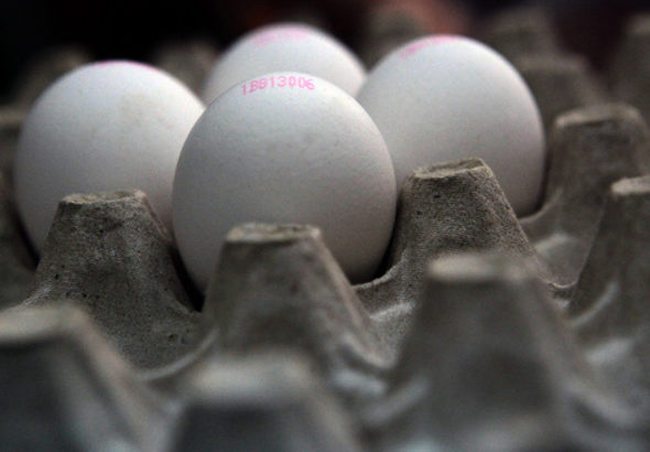 Кампанията Look @ The Egg е за маркировката на продуктите и ще се проведе в Гърция и Румъния в рамките на 24 месеца