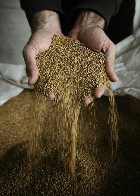Най-големият производител в света на семена, Monsanto, се отказва да рапзространява своите генетично модифицирани сортове растения в Европа.