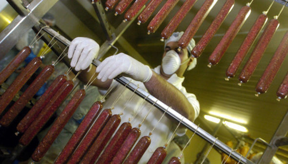 Русия забранява от днес вноса на животински мазнини и субпродукти от ЕС, защото в тях многократно били открити забранени и вредни вещества.
