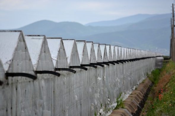 За страната ни е много важно да се запази производството на мляко в планинските и необлагодетелствани райони, тъй като то има и социален ефект, смята заместник-министърът на земеделието и храните Васил Грудев