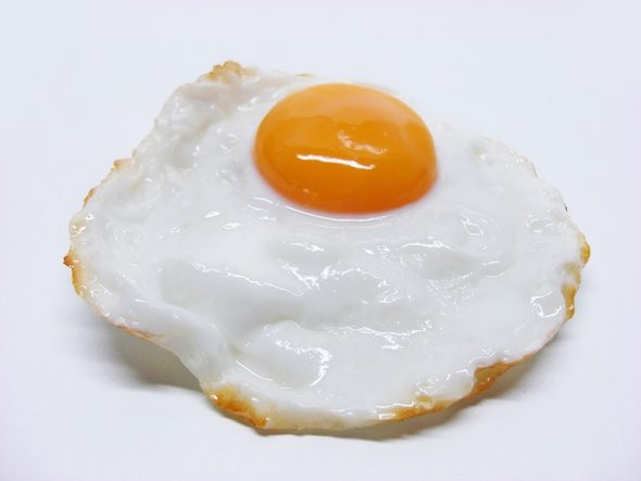 Месни продукти с растителен произход, майонеза без животински мазнини, вегетарианско месо са сред разработките, в които влагат средства инвеститори като  съоснователя на Facebook Едуардо Саверин, създателя на Yahoo Джери Янг и на Microsoft Бил Гейтс