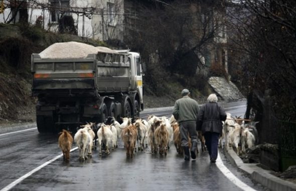 Това предвиждат промените в Закона за ветеринарномедицинската дейност, чиято цел е да се намали незаконният внос, търговията и нерегламентираното придвижване на животни.