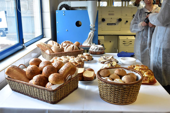 Мелничарската компания отчете положителни финансови резултати за 2015 г., въпреки намалялото потребление на брашно от българските домакинства.