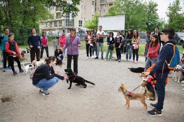 През 2016 г. брандът инвестира в изграждането на специализирани площадки за кучета в Пловдив, Варна, Бургас и София
