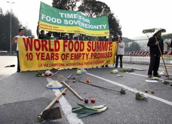 Според данни на FAO, броят на гладуващите в света за първи път в историята достига един милиард.
