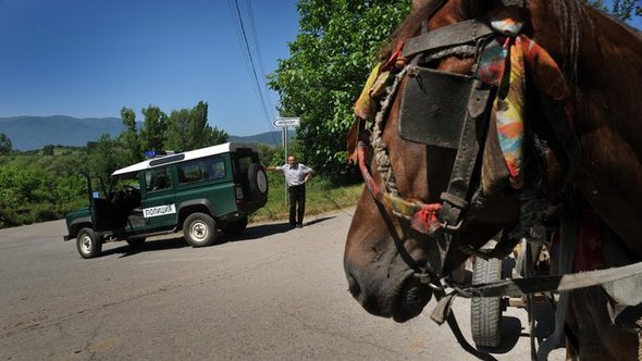 Всяка година досега производителите на череши - предимно дребни собственици на по няколко декара плодни дръвчета, страдат от едни и същи проблеми.