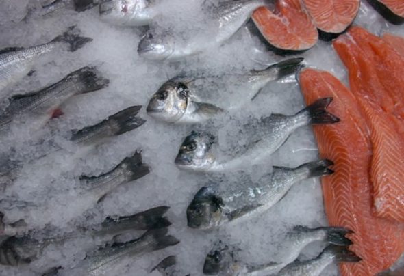 Той ще представлява набор от критерии за продукти от черноморска риба, които производителите ще трябва да покрият, решиха от Асоциацията на производителите на рибни продукти "Бг фиш".