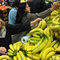 Ценовите войни между веригите в България напоследък минават под знака на цените на бананите.