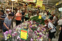Новото в този 11-и магазин на веригата в България са тематичните кътове, които обединяват продукти и завършени решения за вътрешен дизайн на отделни стаи.