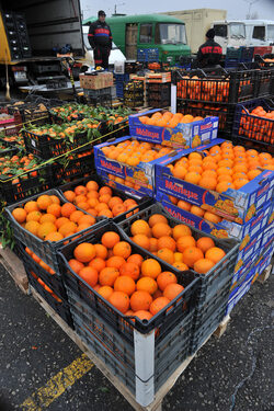 Износът на българска продукция е в обратна посока - намаление.