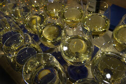 Винарската изба представи и най-новия бранд в портфолиото си - Le Magnifique Chardonnay, 2012.