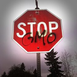 Приетият от ЕС през март закон разчисти пътя за отглеждане на ГМО култури на територията на съюза след години преговори.