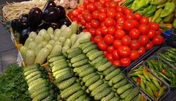 Целта на визитата е да се преценят възможностите за отмяна на някои по-ранни ограничения при вноса в Русия на зеленчуци