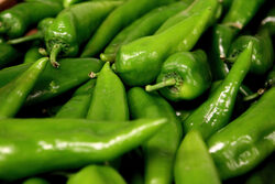 Българските сортове във вкусово отношение са много по-добри и на светлинни години пред останалите. За съжаление семепроизводството за зеленчуци и разсад у нас не са получили никакво субсидиране за последните 25 години, което ни е поставило в условията на сортово робство, твърди специалистът