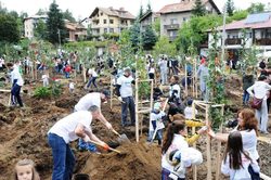 На 10 септември доброволци – служители на системата на "Кока-Кола" в България, ще засадят 350 дръвчета в местността "Офелиите"