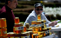 Високите качества на българския мед го правят изключително конкурентен