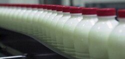 Европейската комисия предложи увеличение на млечните квоти за страните-членки на ЕС с 2%, съобщава Econ.bg, като цитира EUbusiness.com. Така ще може да се задоволиповишеното търсене на млечни продукти в световен мащаб, което вдигна цените им.