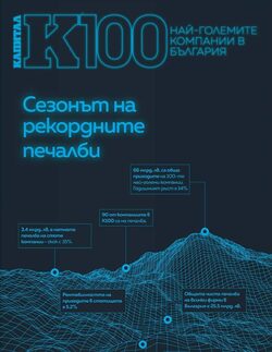 Веригата хипермаркети "Практикер" може да се похвали с най-големия скок на приходите в сектора "направи си сам"