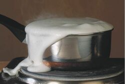 Седем страни в Европейския съюз - Австрия, Дания, Кипър, Италия, Германия, Холандия и Люксембург, ще трябва платят 221 милиона евро глоба за превишени млечни квоти през периода 2006/2007, съобщи говорител на Европейската комисия.
