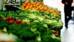 Ръстът на цените на хранителните стоки вероятно ще застави някои развиващи се страни да последват примера на Русия и да използват инструментите на ценовия контрол в сферата на търговията, за да избегнат вълнения в социалната сфера.
За това предупреждава в интервю за Financial Times главният представител на ООН по селско стопанство Жак Диуф. 