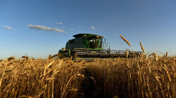"Фарм сенс" на Пламен Борисов вече е четвъртата по приходи компания в сектор земеделие