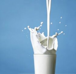 След годините на излишъци на мляко и млечни продукти, нещата клонят към недостиг до такава степен, че прословутите млечни квоти може да изчезнат по-бързо от предвиденото в ЕС, информира Econ.bg.