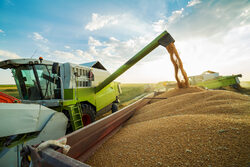 Търговците и производителите на пшеница, царевица, слънчоглед имат над 54% ръст в приходите