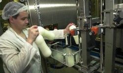 В края на януари започват редовните ветеринарни проверки на мандри, месопреработвателни предприятия, кланици и ферми, съобщиха от Националната ветеринарномедицинска служба (НВМС).