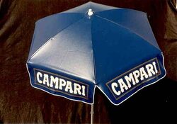 Италианската група Campari проявява интерес към приватизацията на гиганта Vin&Spirit, чието седалище е в Стокхолм, пише в. "Монитор". Приватизирането на групировката, към която се числи и Absolut Vodka, със сигурност ще разтърси целия пазар на алкохол.