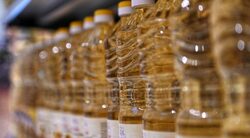 През 2023 сумарните приходи на 50-те най-големи компании при храните и напитките надхвърлят 10.9 млрд. лева, което е с почти 10% по-малко в сравнение с 2022 г.