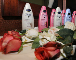 Dove създаде нова серия хидратиращи душ гелове Dove Supreme Cream Oil. Новите продукти са разработени в отговор на нуждите от предпазване на кожата от въздействията на околната среда, които са по-изразени през летния сезон, съобщиха от "Юниливър".