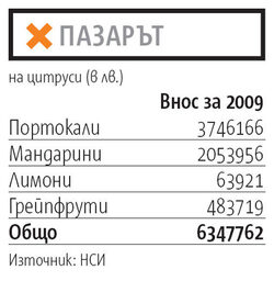 Киселите мандарини сорт минеола идват от Гърция и Турция и заместват поскъпналата сладка клементина.