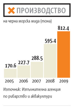 Усвояването на европейските фондове е в основата на бума в сектора.